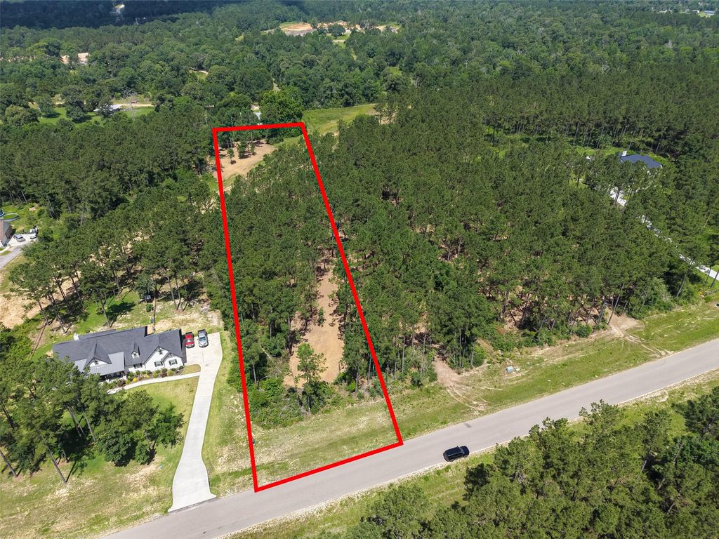 15625 Forest Grove Drive, Willis, TX 77378
