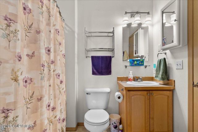 884 S Idaho Peak Circle, Palmer, AK 99645