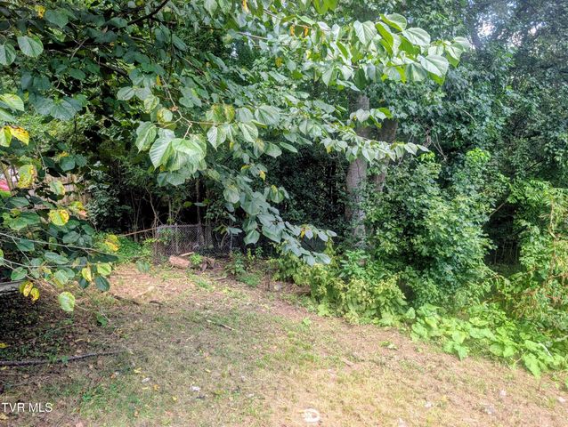 228 Ernie Drive, Kingsport, TN 37660