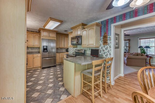 389 Jenkins Hollow Road, Elizabethton, TN 37643