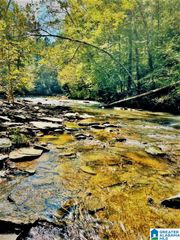 0 A SUNVIEW DRIVE, Warrior, AL 35091