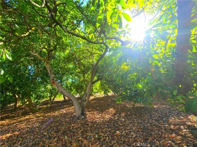 43605 Los Gatos, Temecula, CA 92590