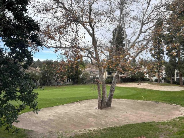 5146 Caminito Vista Lujo, San Diego, CA 92130