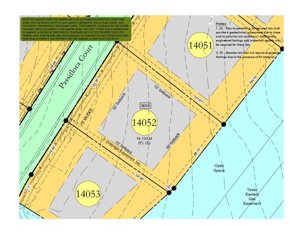 9004 Passiflora Ct, College Grove, TN 37046