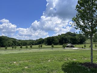 9004 Passiflora Ct, College Grove, TN 37046