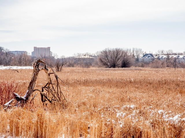 1216 Trailwood S, Hopkins, MN 55343