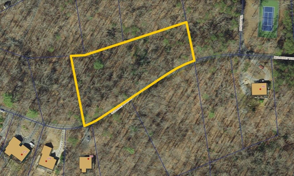 0 Mulberry LN, Moneta, VA 24121