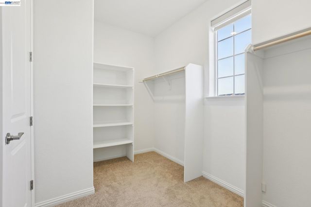 16172 Abernathy Ct, Lathrop, CA 95330