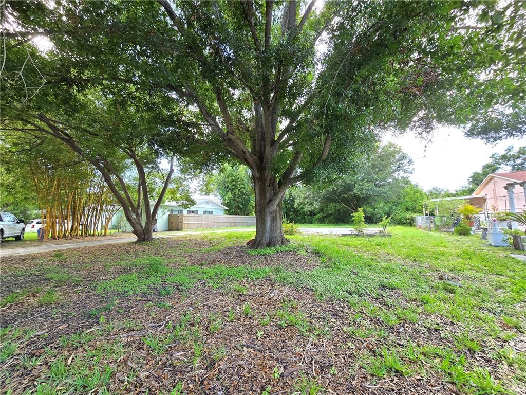 18 S JUPITER AVENUE, Clearwater, FL 33755