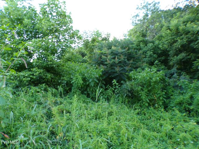 1725 Charles Street, Kingsport, TN 37660