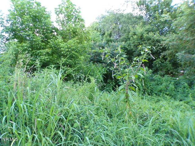 1725 Charles Street, Kingsport, TN 37660