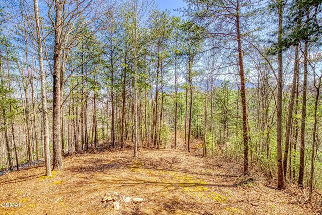2752 Blue Springs Way, Sevierville, TN 37862