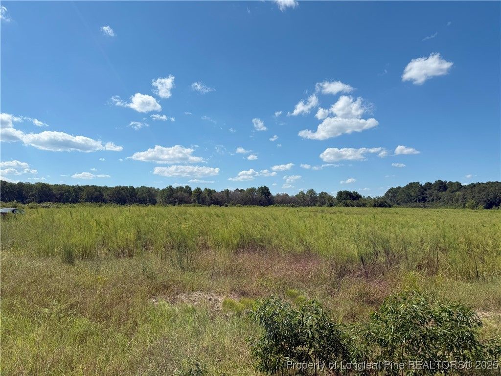 Lot 2 Collier Road, Wade, NC 28395