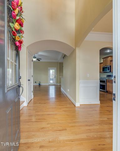 207 Michaels Ridge Boulevard, Johnson City, TN 37615