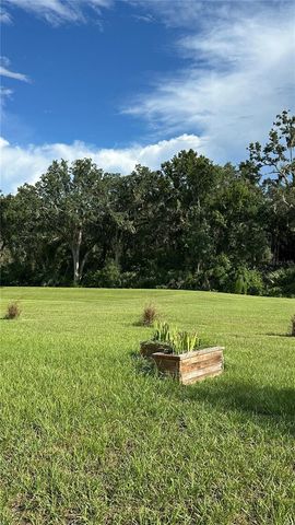 20041 ROYAL TERN COURT, Leesburg, FL 34748