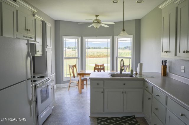 241 Terry Rd, Pikeville, TN 37367