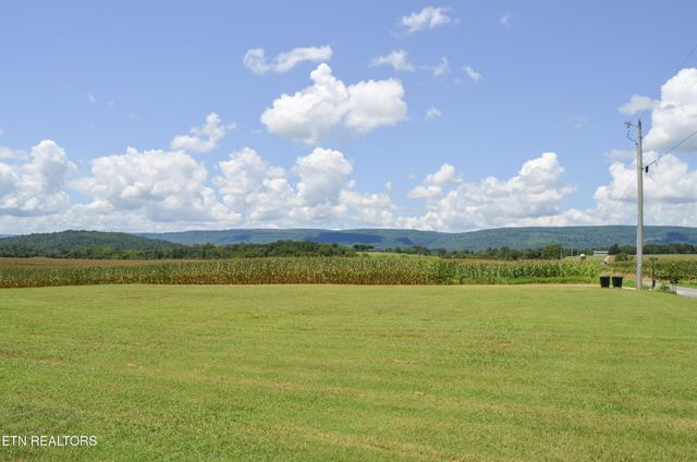 241 Terry Rd, Pikeville, TN 37367