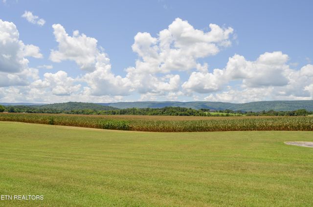 241 Terry Rd, Pikeville, TN 37367