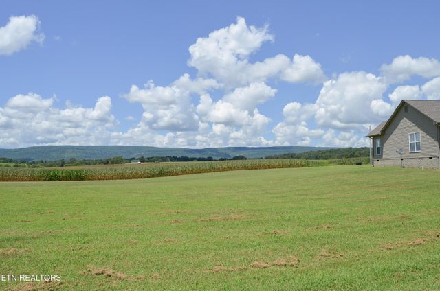 241 Terry Rd, Pikeville, TN 37367