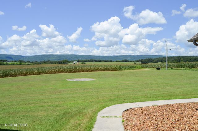 241 Terry Rd, Pikeville, TN 37367