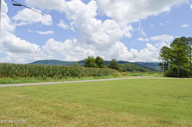 241 Terry Rd, Pikeville, TN 37367