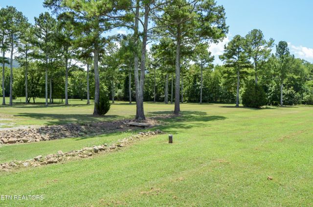 241 Terry Rd, Pikeville, TN 37367