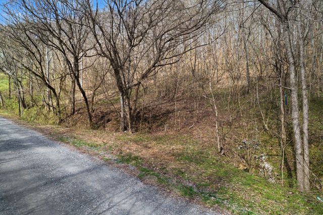 0 Buckeye Hollow Road, Smithville, TN 37166