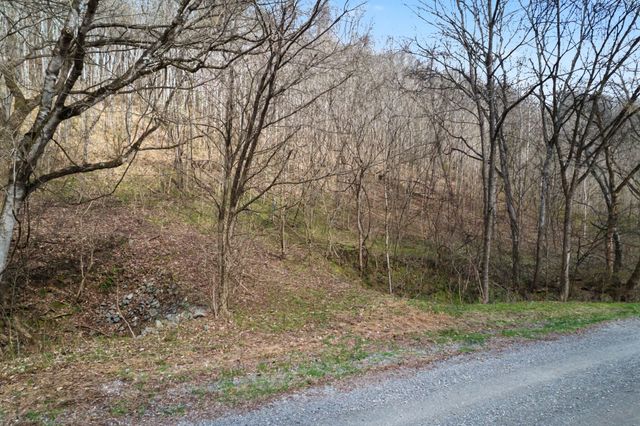 0 Buckeye Hollow Road, Smithville, TN 37166