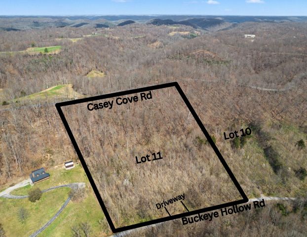 0 Buckeye Hollow Road, Smithville, TN 37166