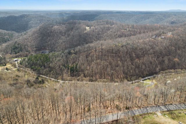 0 Buckeye Hollow Road, Smithville, TN 37166