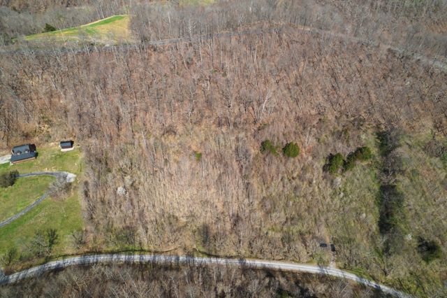 0 Buckeye Hollow Road, Smithville, TN 37166