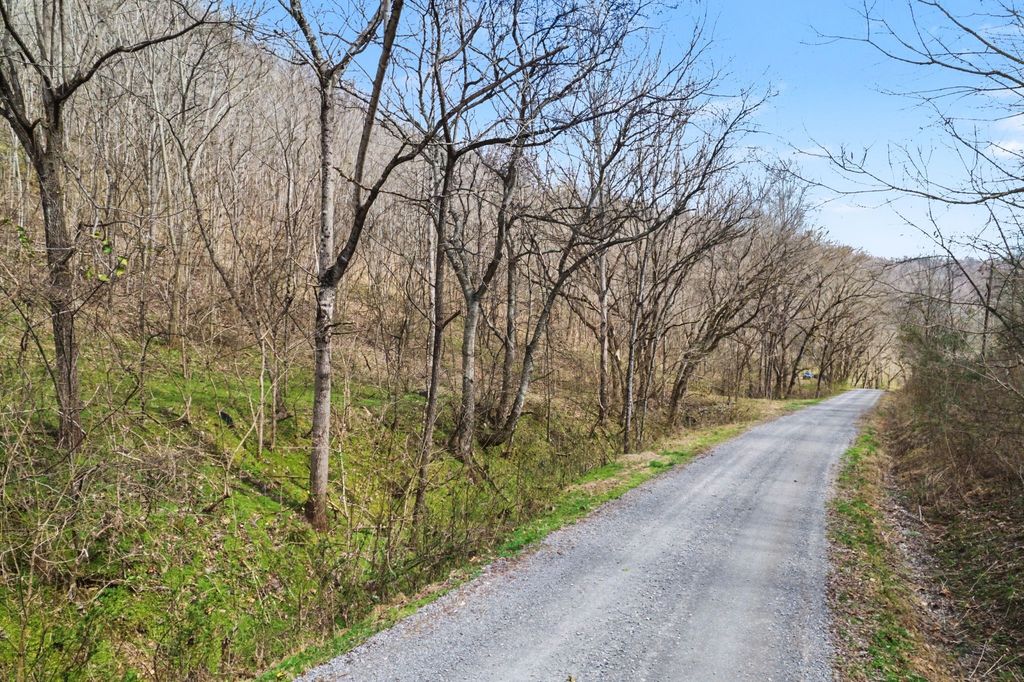 0 Buckeye Hollow Road, Smithville, TN 37166