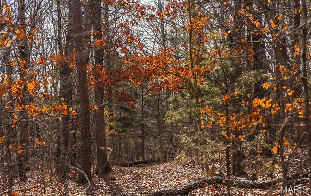 000 Bust Subdivision Rd, Potosi, MO 63664