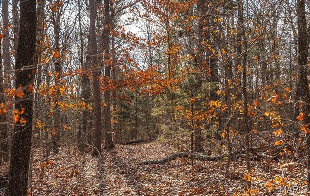 000 Bust Subdivision Rd, Potosi, MO 63664