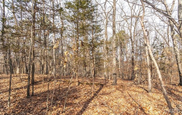 000 Bust Subdivision Rd, Potosi, MO 63664