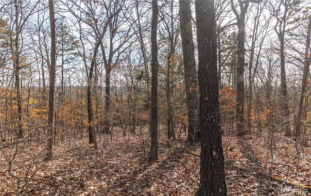 000 Bust Subdivision Rd, Potosi, MO 63664