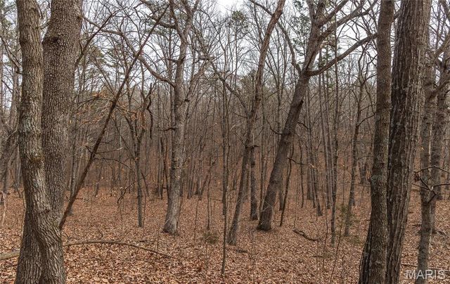 000 Bust Subdivision Rd, Potosi, MO 63664