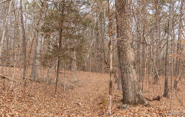 000 Bust Subdivision Rd, Potosi, MO 63664