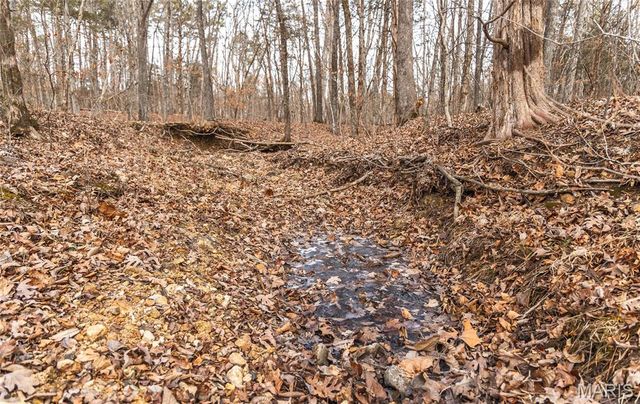 000 Bust Subdivision Rd, Potosi, MO 63664