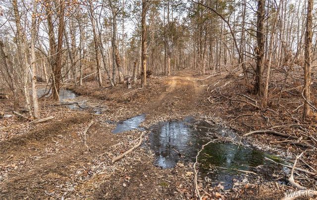 000 Bust Subdivision Rd, Potosi, MO 63664