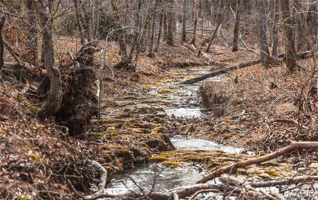 000 Bust Subdivision Rd, Potosi, MO 63664