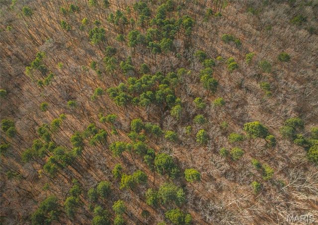 000 Bust Subdivision Rd, Potosi, MO 63664