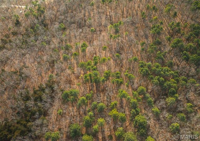 000 Bust Subdivision Rd, Potosi, MO 63664