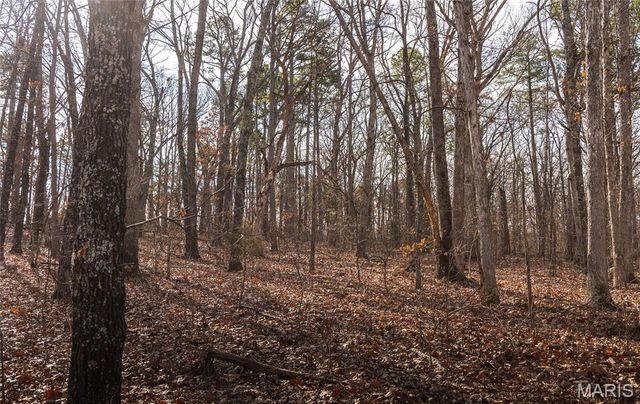 000 Bust Subdivision Rd, Potosi, MO 63664