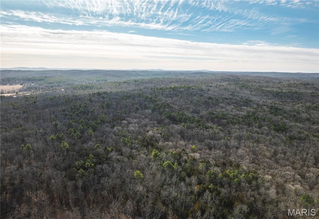 000 Bust Subdivision Rd, Potosi, MO 63664