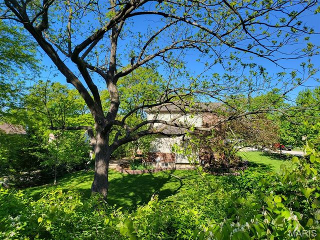 1 Crabapple Court, Olivette, MO 63132
