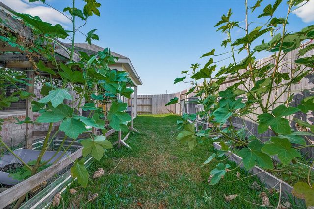 17027 Lilac Paxton Lane, Hockley, TX 77447