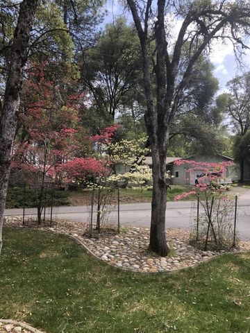 19651 Echo Blue Dr, Penn Valley, CA 95946