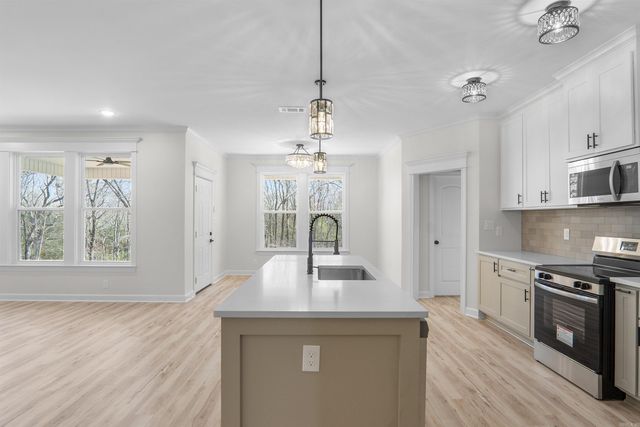 518 Madeleine Circle, Austin, AR 72007