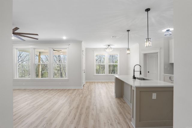 518 Madeleine Circle, Austin, AR 72007